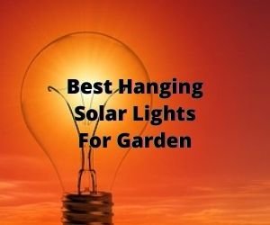 Best Hanging Solar Lights For Garden